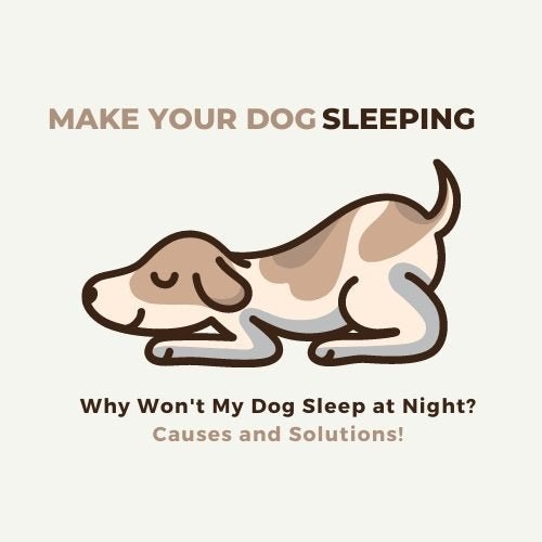 6 Reasons Why Your Dog Won't Sleep at Night (Modern Solutions) - Silver Lining Herbs