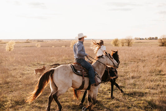 Anxiety and Horses: 3 Tips to Help Manage Equine Nerves - Silver Lining Herbs