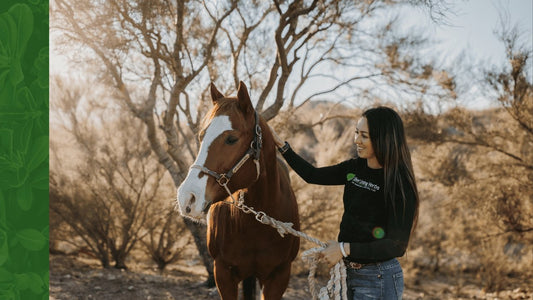 Bone Strengthening Supplements for Horses (2022) - 12 Feet & Bone Support - Silver Lining Herbs