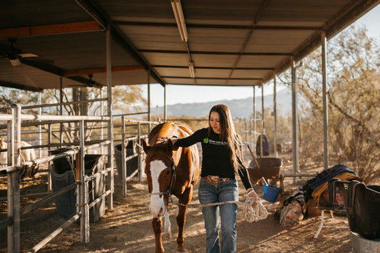 Bug Off! 3 Ways To Keep Bugs Away From Your Horses  - Silver Lining Herbs