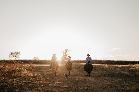 Caring for Senior Horses: Why Pituitary Support is Essential - Silver Lining Herbs