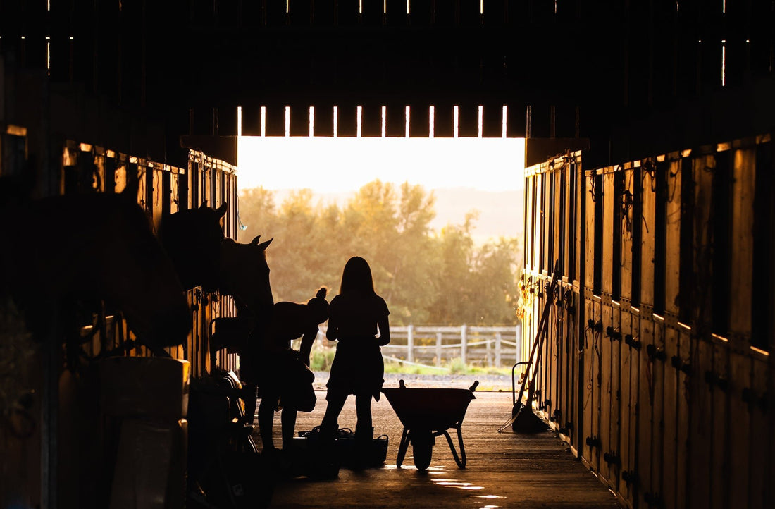 Design Functional and Attractive Horse Stalls (Your Go-To Guide) - Silver Lining Herbs
