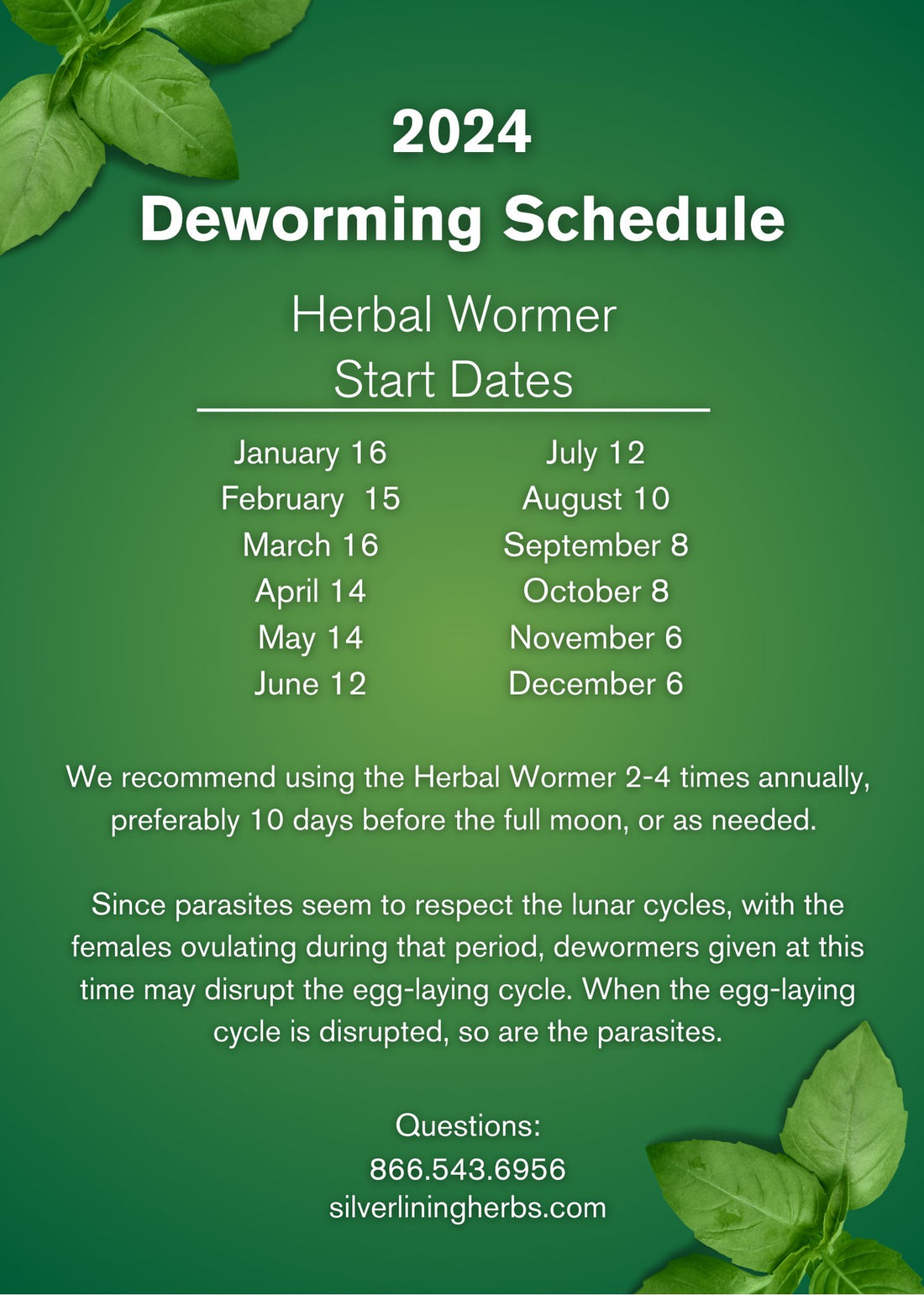 Deworming Schedule for Horses and Dogs 2024 – Silver Lining Herbs deworming-schedule-for-horses-and-dogs-2024-silver-lining-herbs
