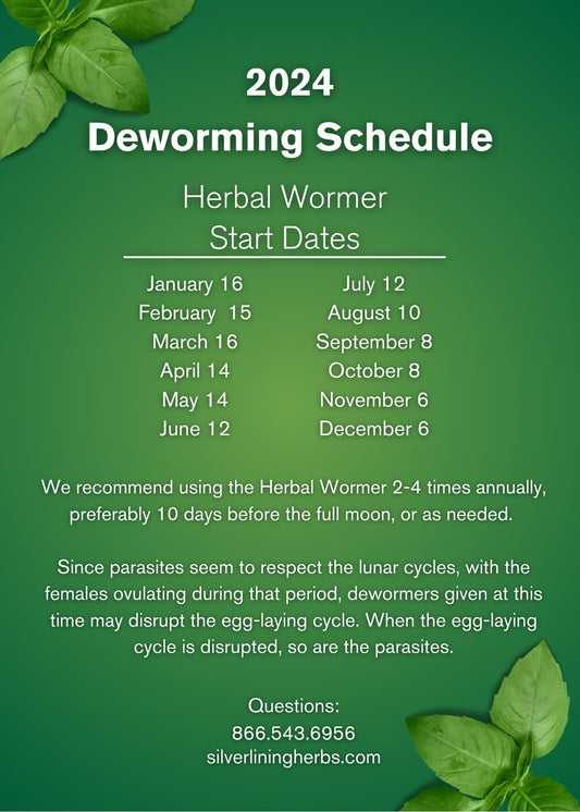 Deworming Schedule for Horses (2024) - Silver Lining Herbs