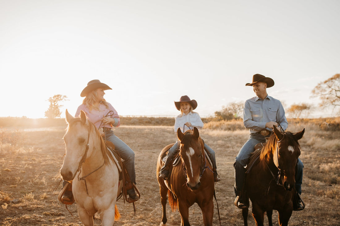 For Horses: The Best Herbs (& Foods) for Total Body Support - Silver Lining Herbs