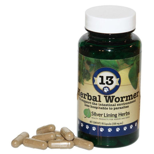 Herbal Wormer for a Puppy - Silver Lining Herbs