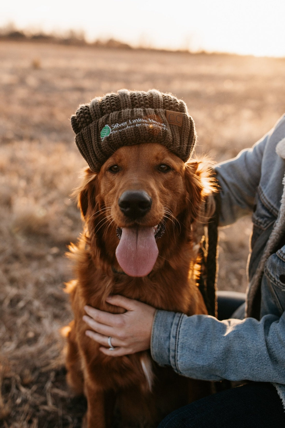 Holiday Gift Guide for Horse Owners, Dog Lovers, and Natural Wellness Fans - Silver Lining Herbs