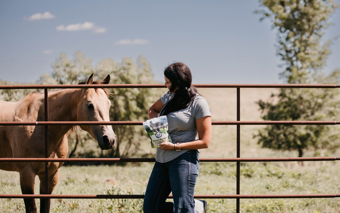 How Silver Lining Herbs Can Help Support Your Horse This Season - Silver Lining Herbs