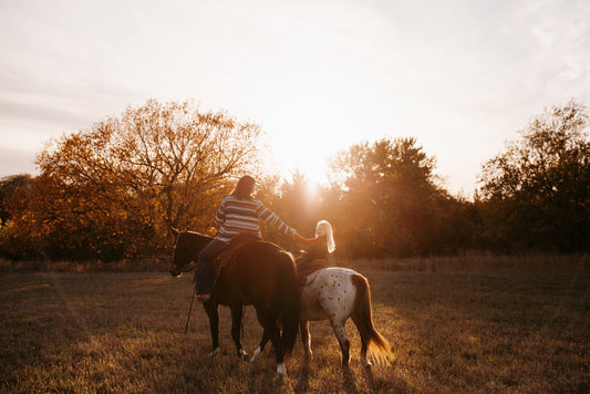 How to Keep Your Horses Happy and Healthy When Temperatures Plummet - Silver Lining Herbs