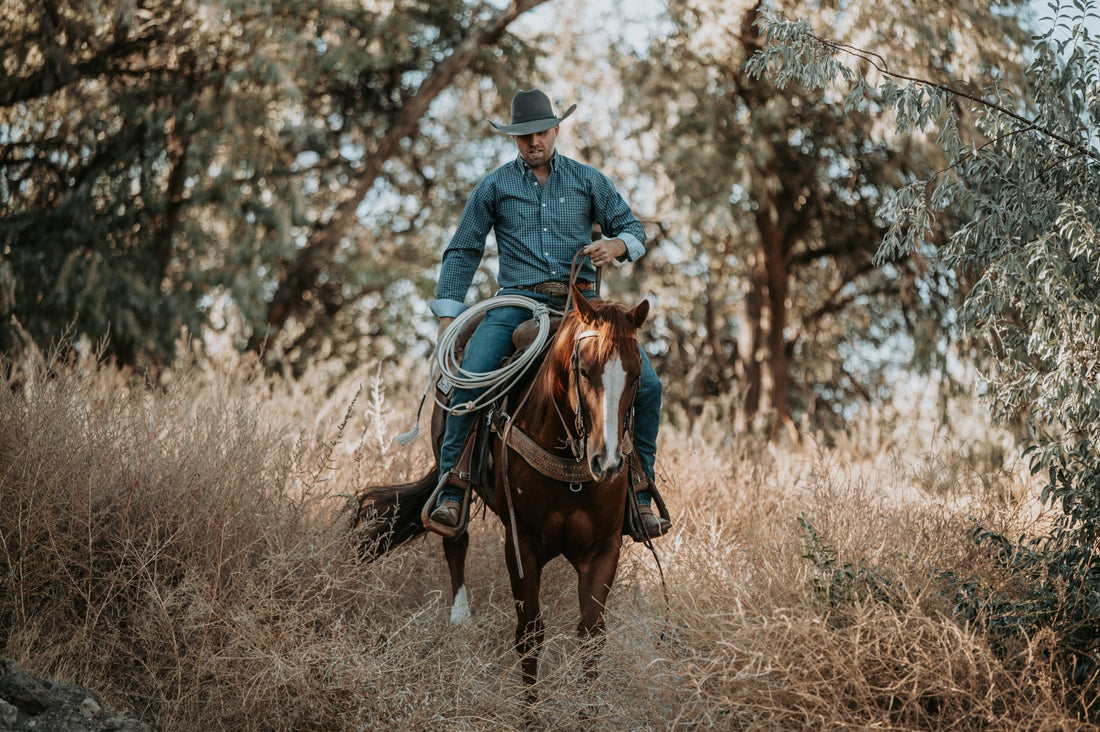 Lyme Disease in Horses: What to Know and How to Help - Silver Lining Herbs