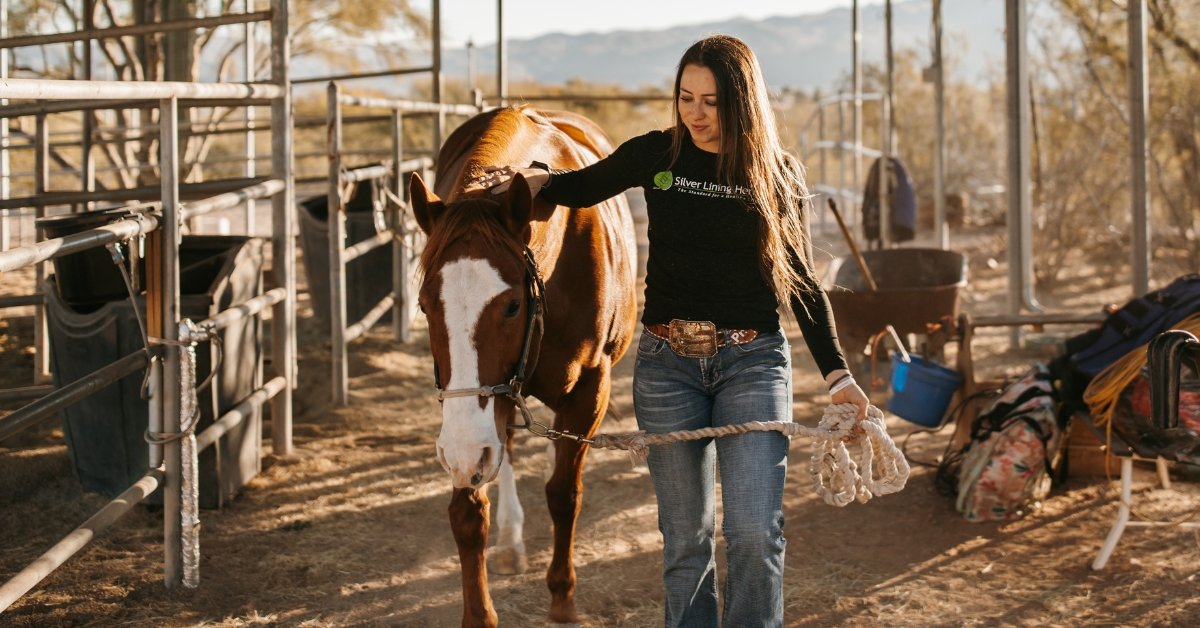 Natural Alternative for Horses that Bleed - Silver Lining Herbs