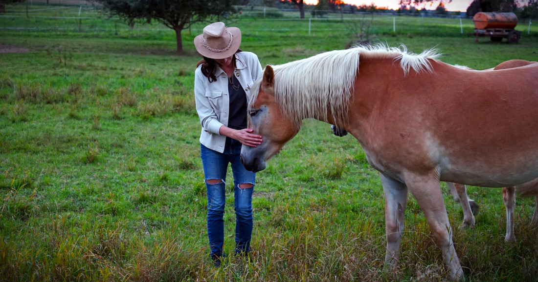 Pituitary and Thyroid Health in Horses: Why Your Horse Seems Off in Spring - Silver Lining Herbs