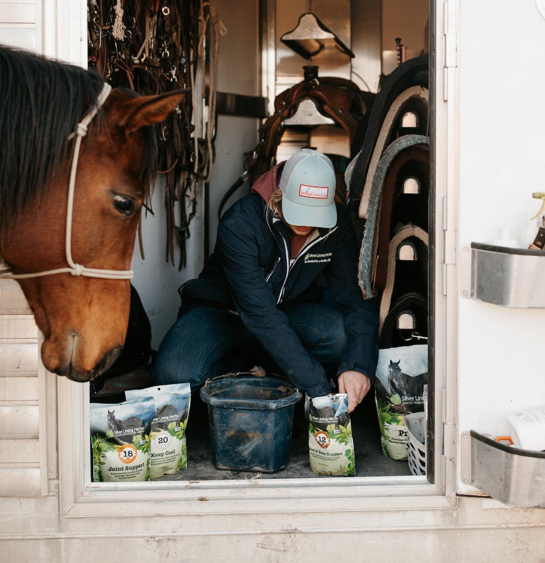 Probiotic Advantage: How Our Probiotics Can Benefit Your Horse - Silver Lining Herbs