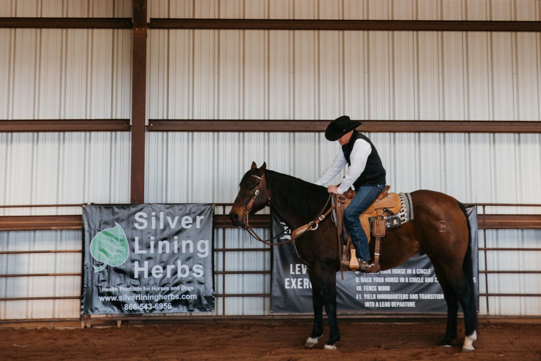 Ready to Flex: What is Muscle Testing (& Acupressure) for Horses ...