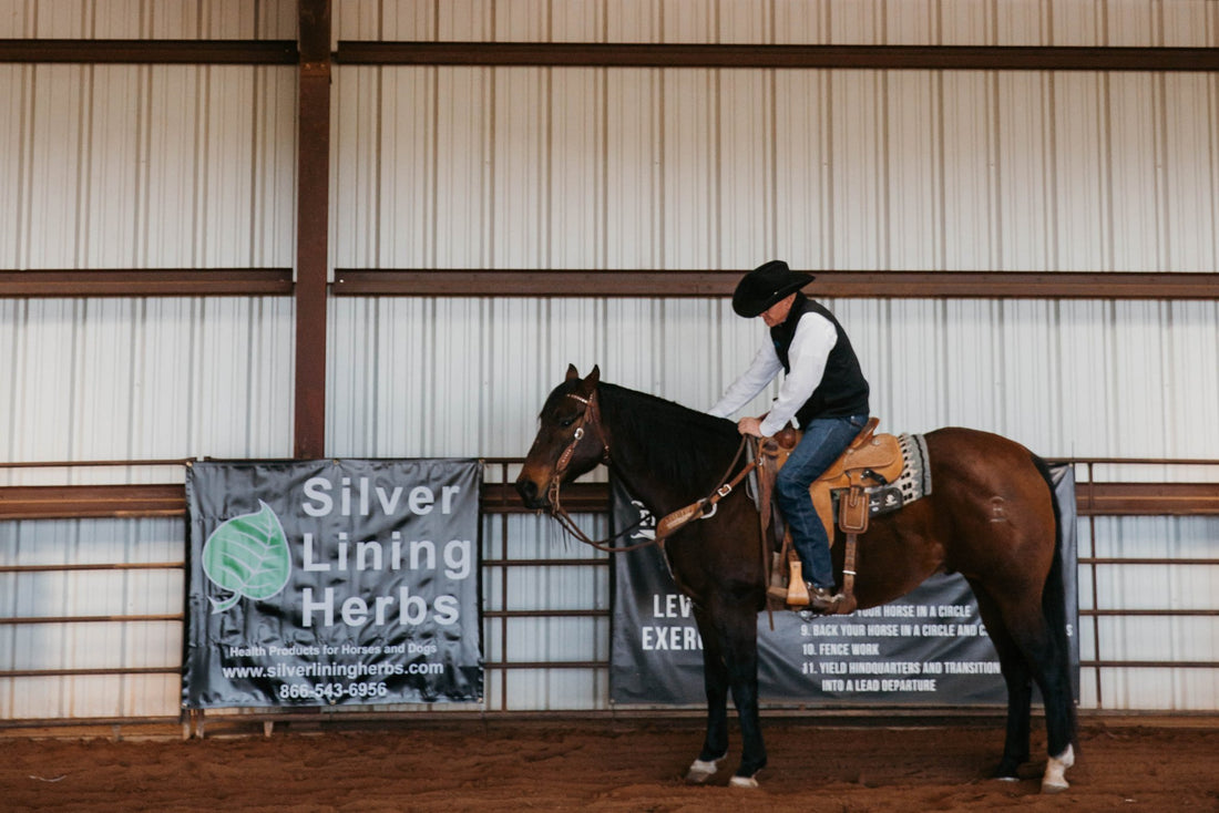Ready to Flex: What is Muscle Testing (& Acupressure) for Horses? - Silver Lining Herbs
