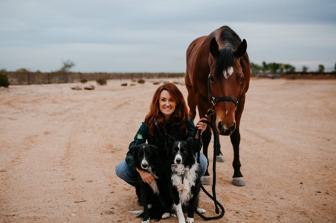 Say No to Dog and Horse Parasites With Our Dewormers — Here’s How - Silver Lining Herbs