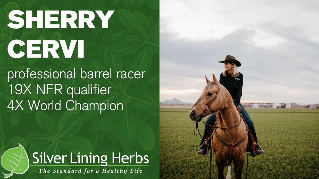 Sherry Cervi's Silver Lining Herbs for Success - Silver Lining Herbs