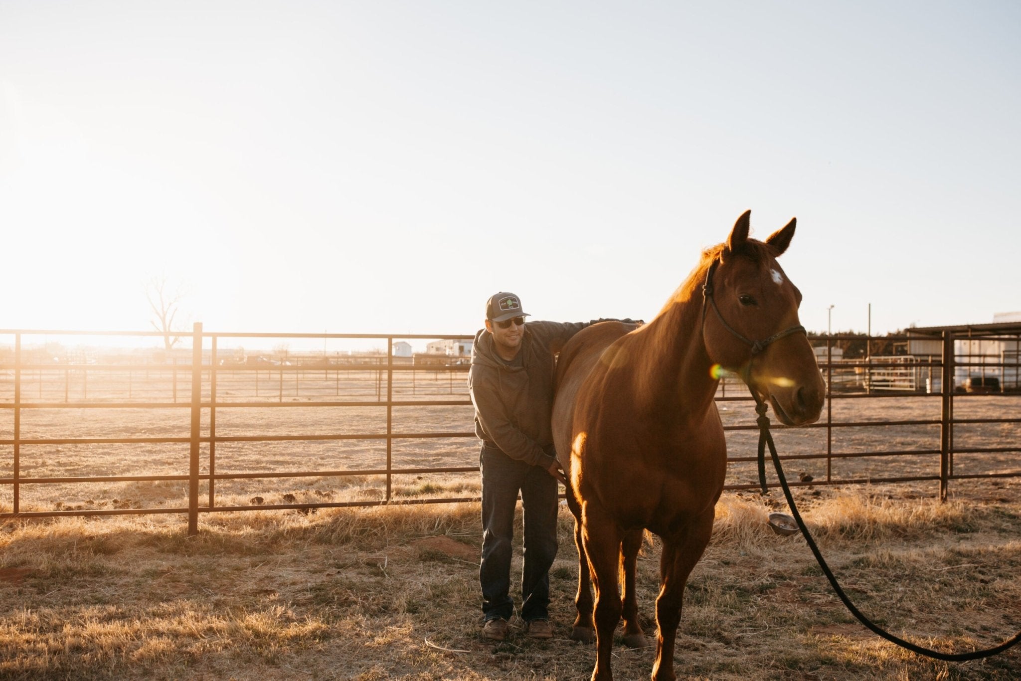 Signs of EPM in Horses (Symptoms, Prevention, Causes, and More) - Silver Lining Herbs