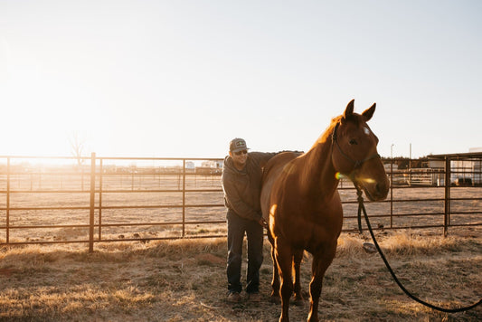 Signs of EPM in Horses (Symptoms and Causes) - Silver Lining Herbs