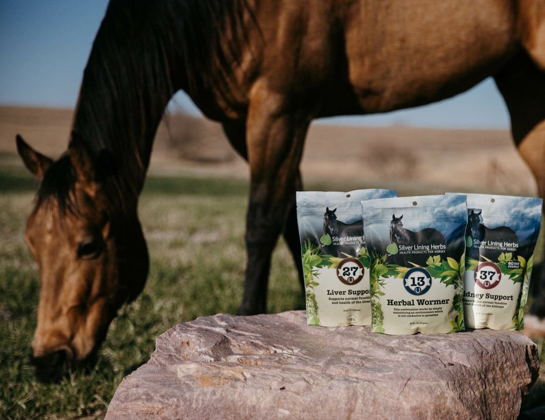 Spring Maintenance Bundle Boxes for Horses - Silver Lining Herbs