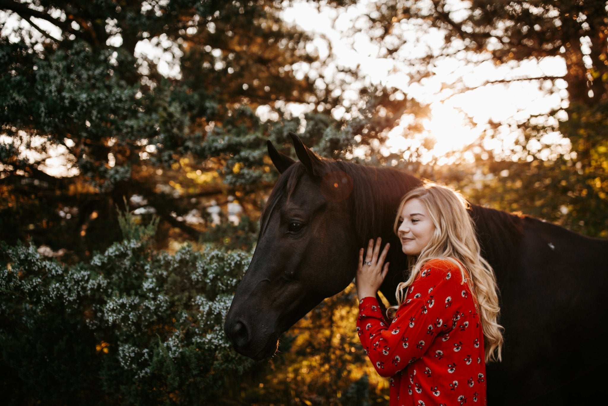 Start the New Year Right with These Essential Silver Lining Herbs Supplements - Silver Lining Herbs