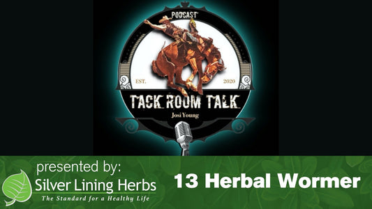 Tack Room Talk 13 Herbal Wormer - Silver Lining Herbs