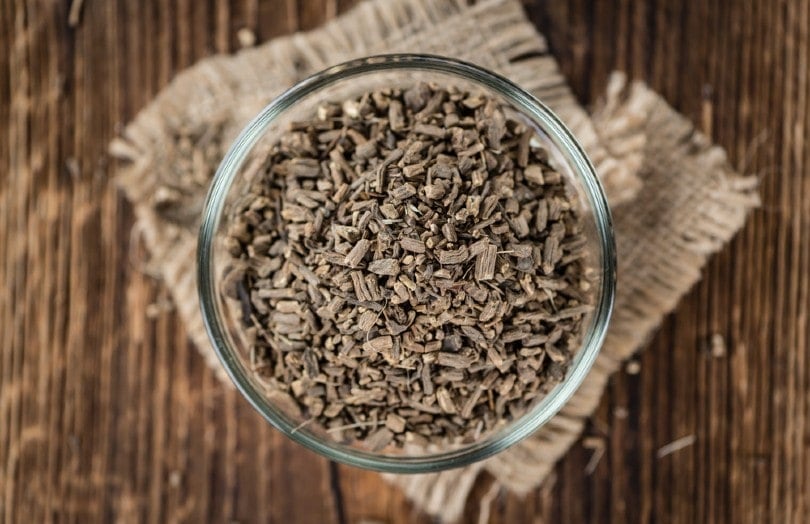 Valerian Root for Dogs: Is It Safe? Best Conclusion 2022 - Silver Lining Herbs