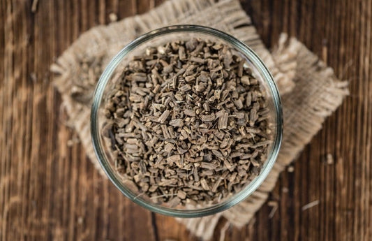 Valerian Root for Dogs: Is It Safe? - Silver Lining Herbs
