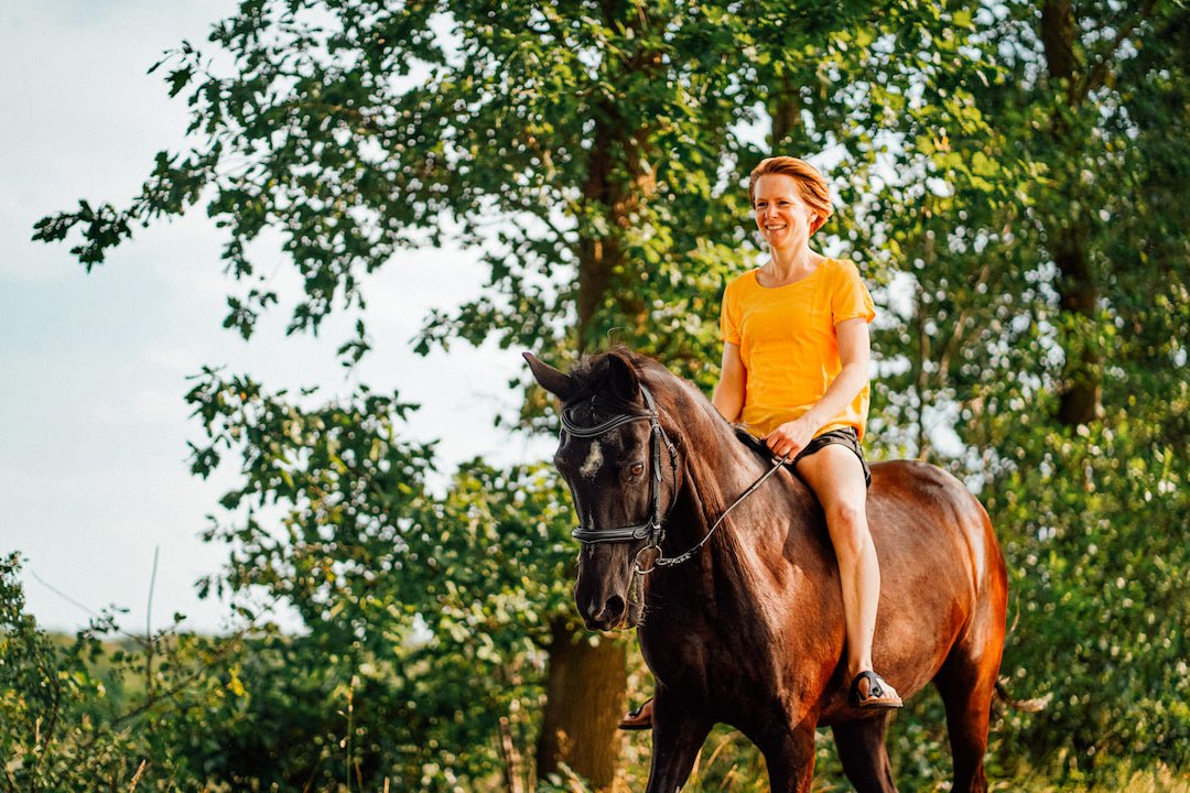 Why Managing Horse Flies Is So Important For Horses - Silver Lining Herbs