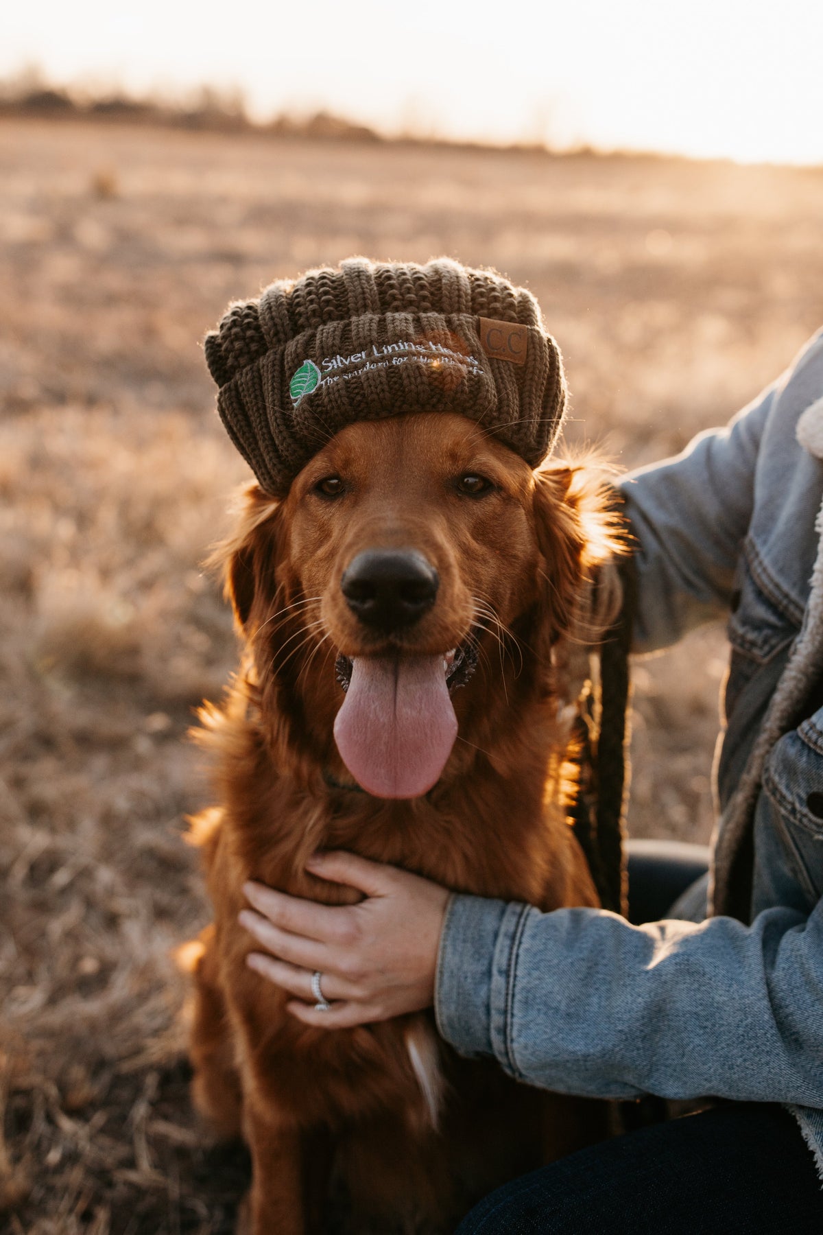20% Off Human + Dog Favorites