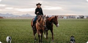 Horse Supplements - Silver Lining Herbs