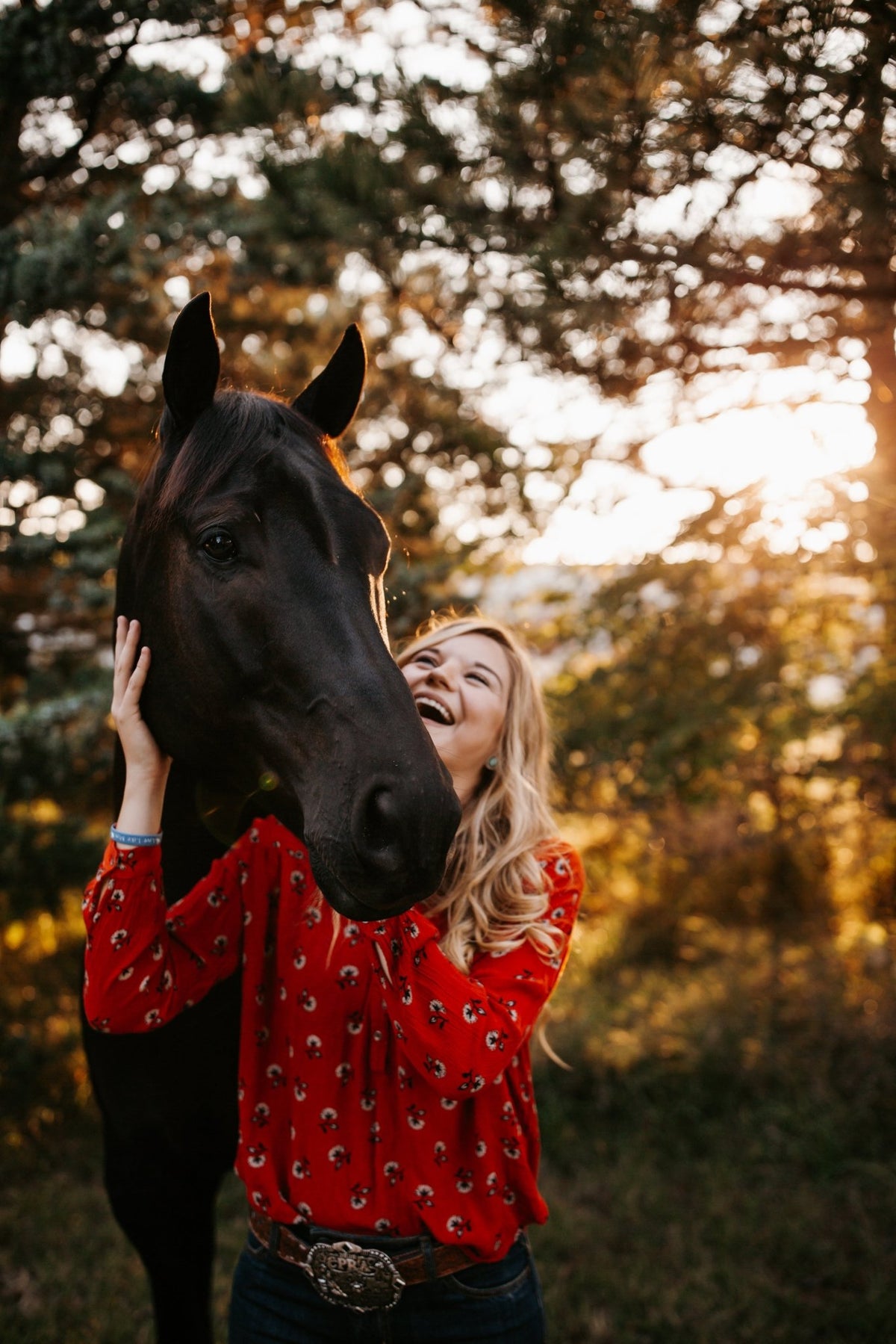 Top Picks for Horses - Silver Lining Herbs