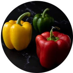 Capsicum