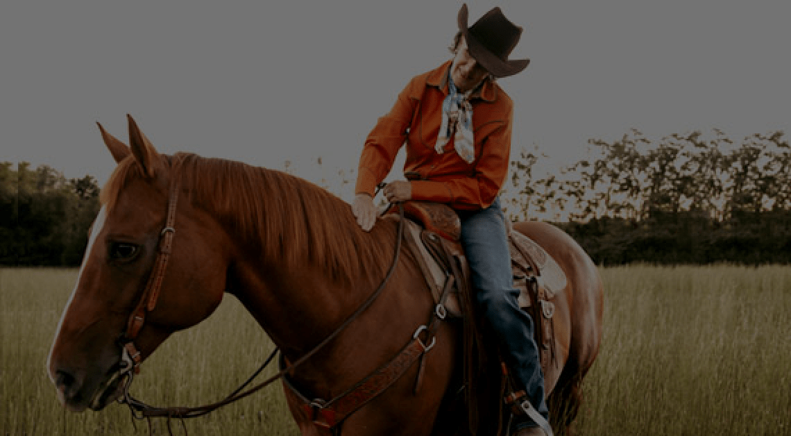 Horse Supplements 