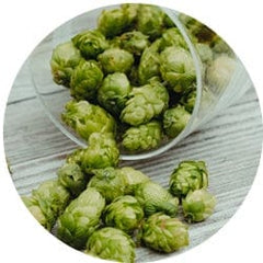 Hops