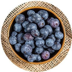 Juniper Berry