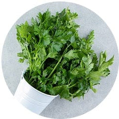 Parsley