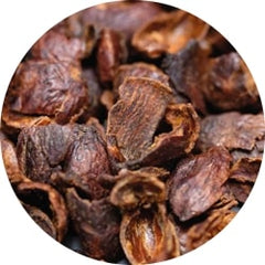 Cascara