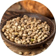 Hemp Seed oil