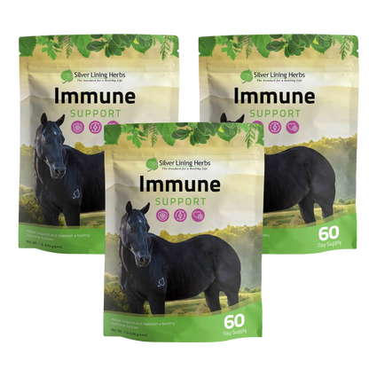 Immune Support for Horses