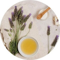 Lavender Oil
