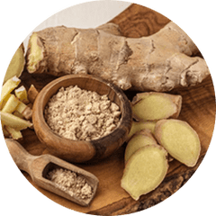 Panax Notoginseng