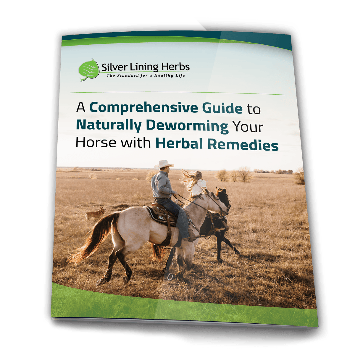 Silver Lining Herbs Deworming Guide