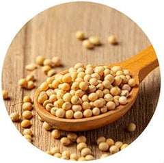 Soybean Oil (Non-GMO)