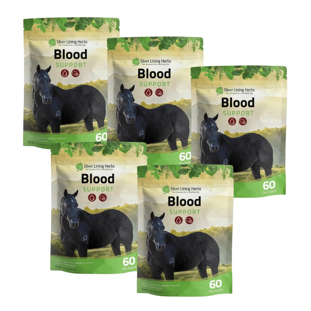 Blood Support for Horses - Silver Lining Herbs
