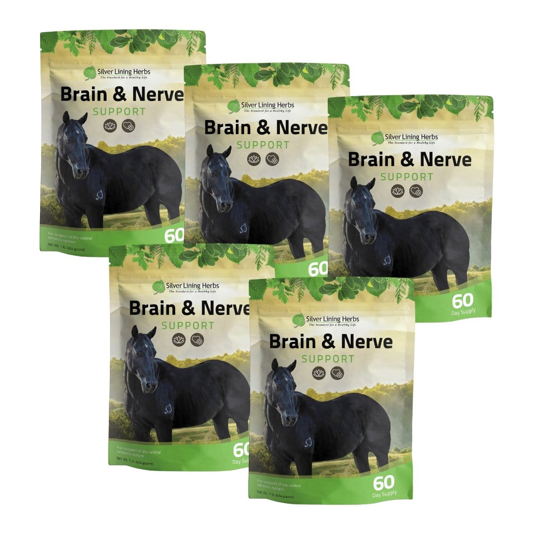 Brain & Nerve Support for Horses - Silver Lining Herbs