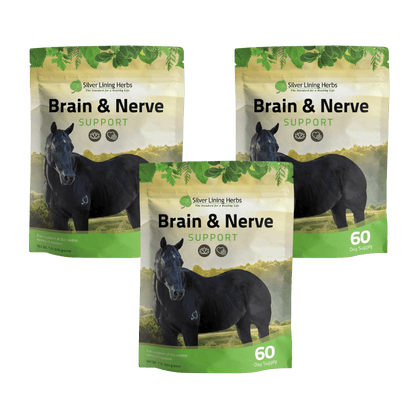 Brain & Nerve Support for Horses - Silver Lining Herbs