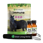 Bug Control Bundle for Horses - Silver Lining Herbs