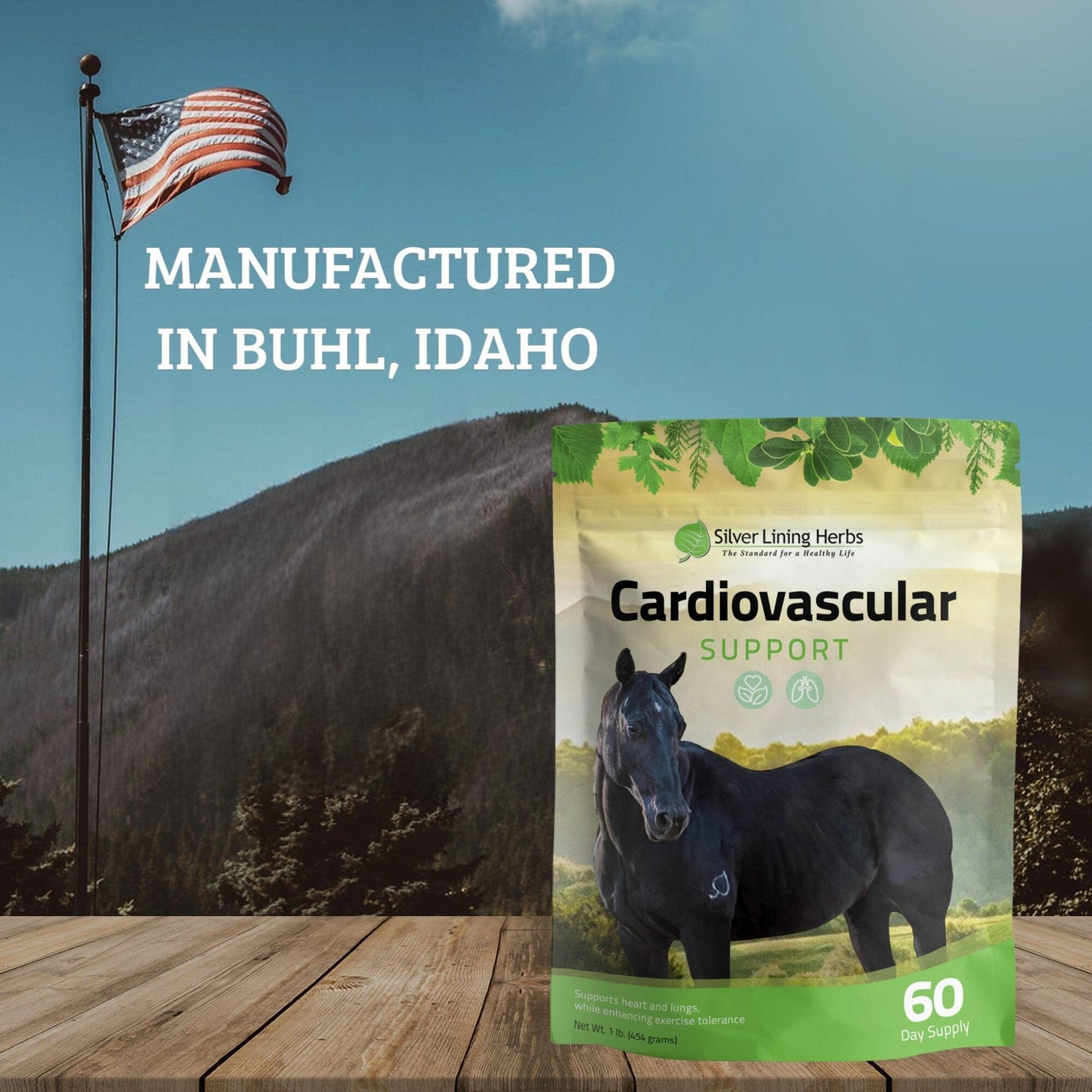 Cardiovascular Support for Horses - Silver Lining Herbs