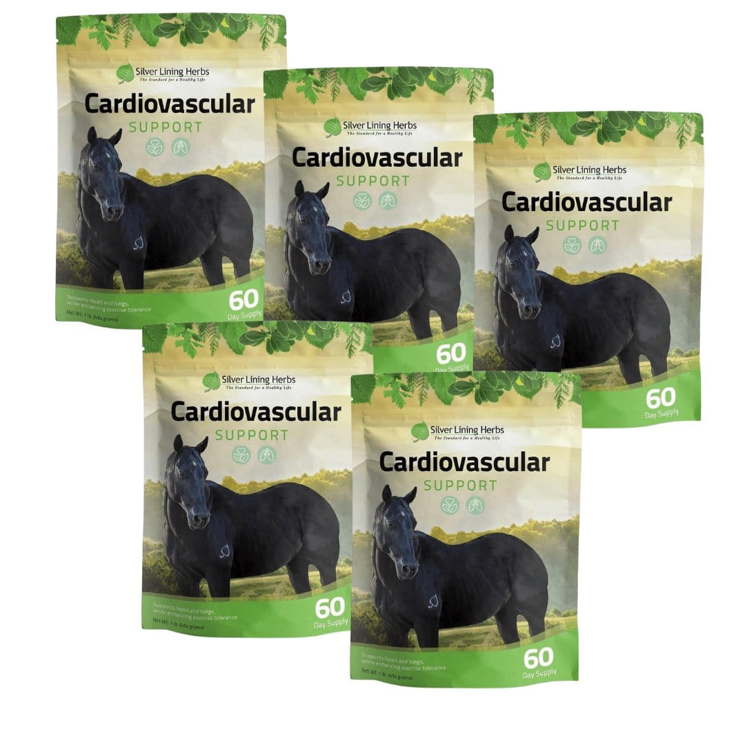 Cardiovascular Support for Horses - Silver Lining Herbs